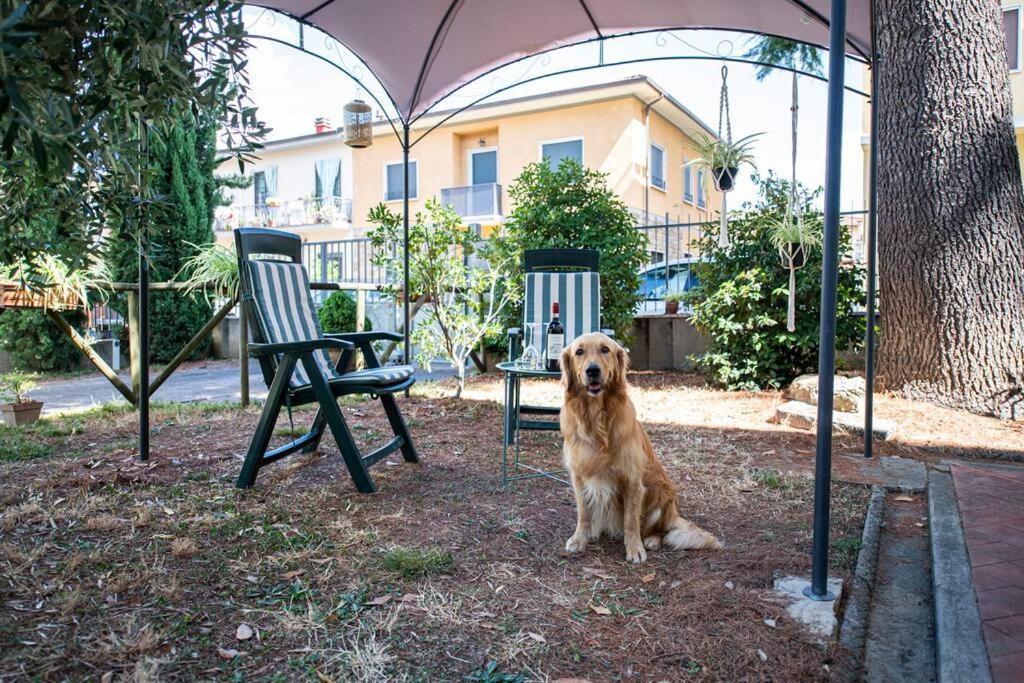 Easy Florence Scandicci Exteriér fotografie